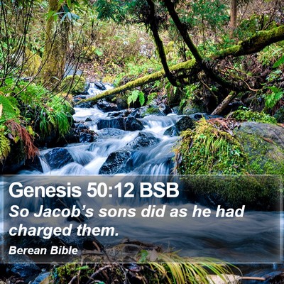 Genesis 50:12 BSB Bible Verse Image