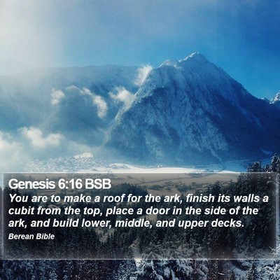 Genesis 6:16 BSB Bible Verse Image