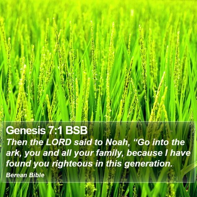 Genesis 7:1 BSB Bible Verse Image