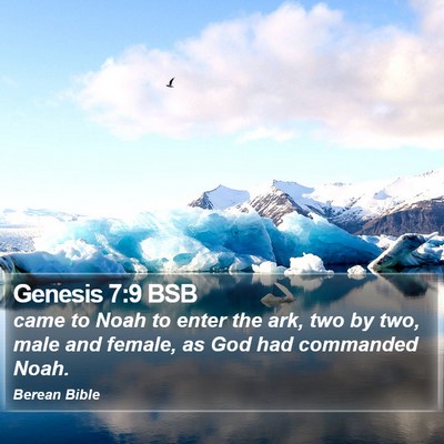 Genesis 7:9 BSB Bible Verse Image