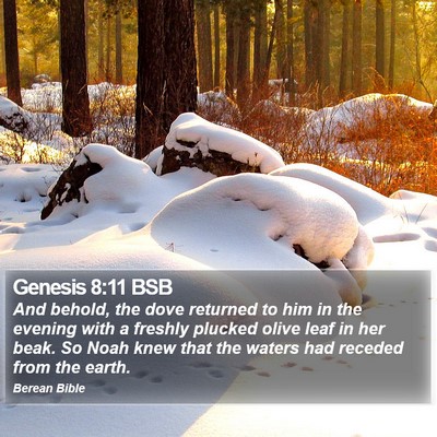 Genesis 8:11 BSB Bible Verse Image