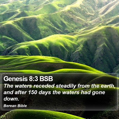 Genesis 8:3 BSB Bible Verse Image