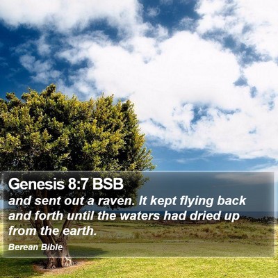 Genesis 8:7 BSB Bible Verse Image