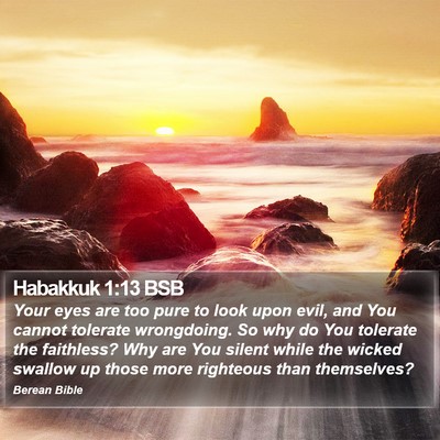 Habakkuk 1:13 BSB Bible Verse Image