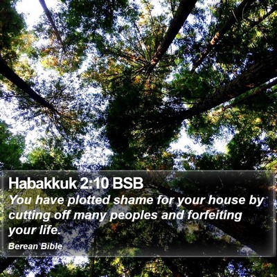 Habakkuk 2:10 BSB Bible Verse Image
