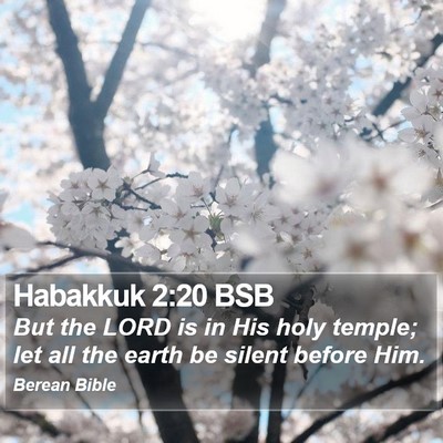 Habakkuk 2:20 BSB Bible Verse Image