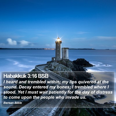 Habakkuk 3:16 BSB Bible Verse Image
