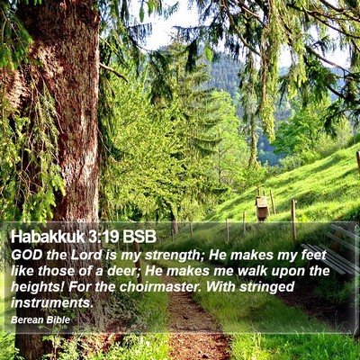 Habakkuk 3:19 BSB Bible Verse Image