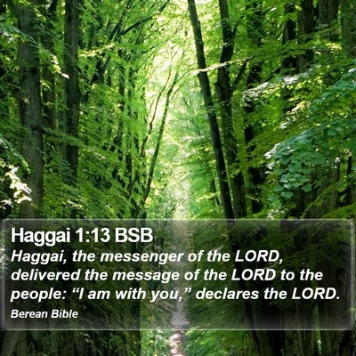 Haggai 1:13 BSB Bible Verse Image