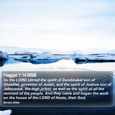 Haggai 1:14 BSB Bible Verse Image