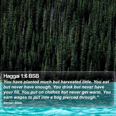 Haggai 1:6 BSB Bible Verse Image