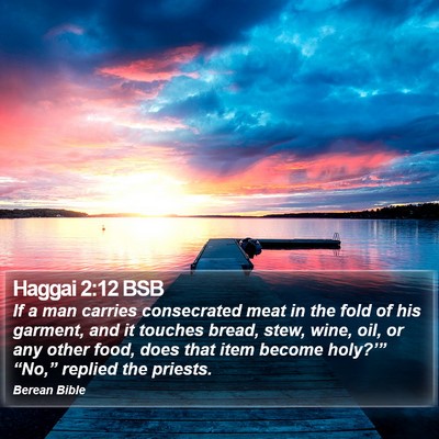 Haggai 2:12 BSB Bible Verse Image