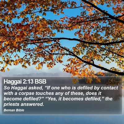 Haggai 2:13 BSB Bible Verse Image