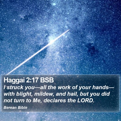 Haggai 2:17 BSB Bible Verse Image