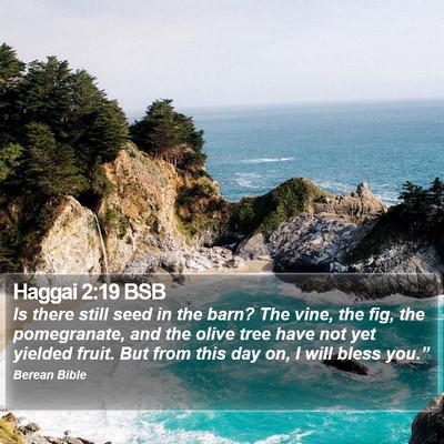 Haggai 2:19 BSB Bible Verse Image