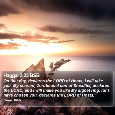 Haggai 2:23 BSB Bible Verse Image