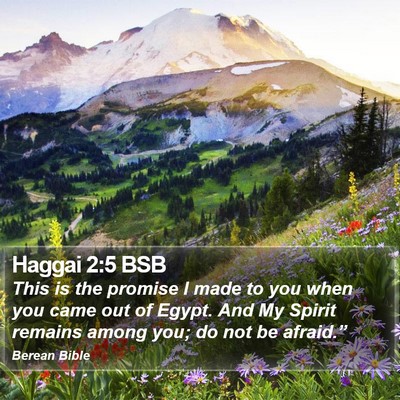 Haggai 2:5 BSB Bible Verse Image