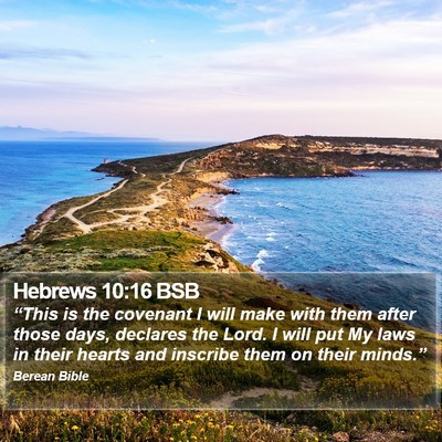 Hebrews 10:16 BSB Bible Verse Image
