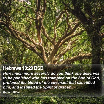 Hebrews 10:29 BSB Bible Verse Image