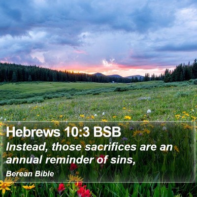 Hebrews 10:3 BSB Bible Verse Image