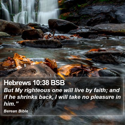Hebrews 10:38 BSB Bible Verse Image