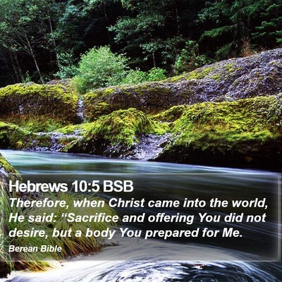 Hebrews 10:5 BSB Bible Verse Image