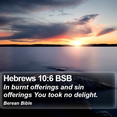 Hebrews 10:6 BSB Bible Verse Image