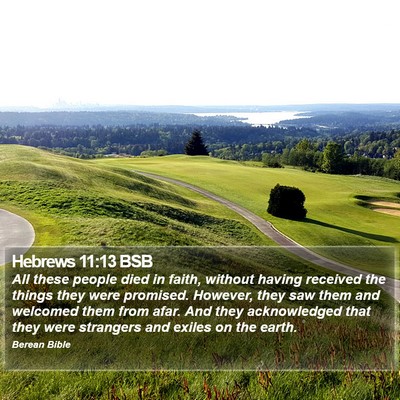 Hebrews 11:13 BSB Bible Verse Image