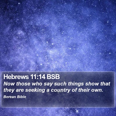 Hebrews 11:14 BSB Bible Verse Image