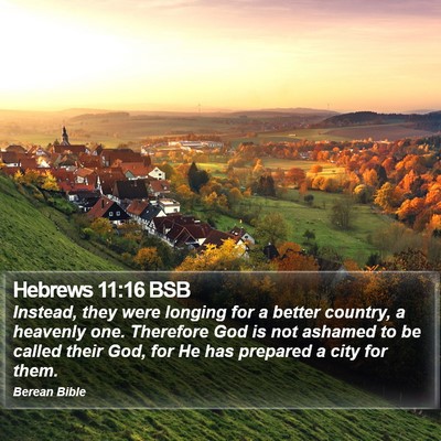 Hebrews 11:16 BSB Bible Verse Image
