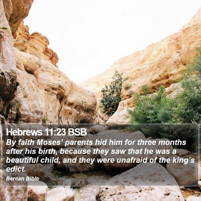 Hebrews 11:23 BSB Bible Verse Image
