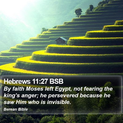 Hebrews 11:27 BSB Bible Verse Image