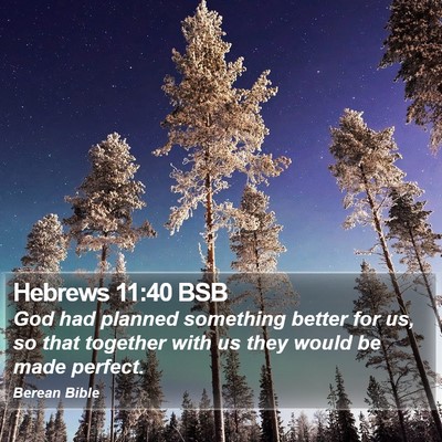 Hebrews 11:40 BSB Bible Verse Image