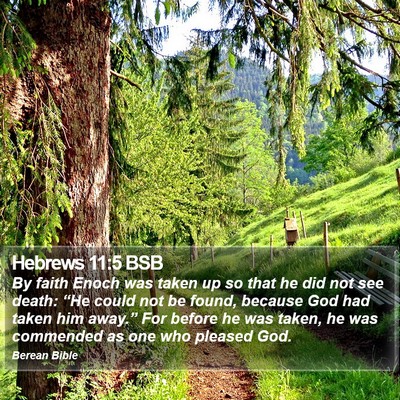 Hebrews 11:5 BSB Bible Verse Image