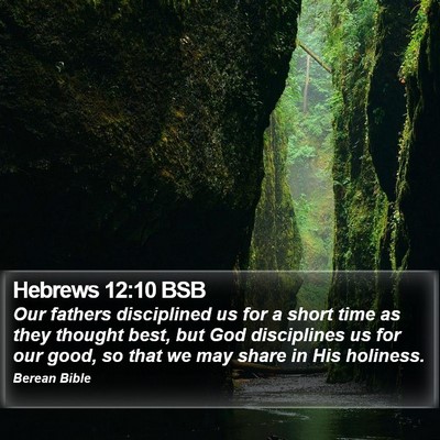 Hebrews 12:10 BSB Bible Verse Image