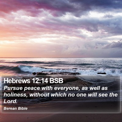 Hebrews 12:14 BSB Bible Verse Image