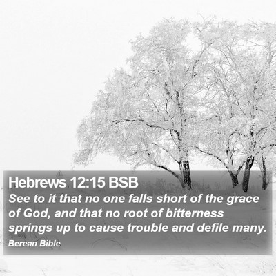 Hebrews 12:15 BSB Bible Verse Image