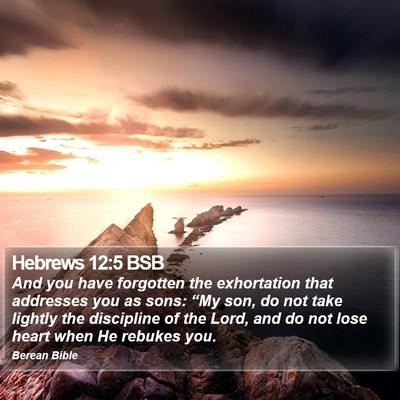 Hebrews 12:5 BSB Bible Verse Image