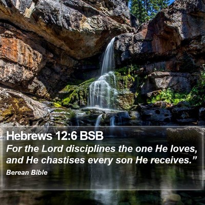Hebrews 12:6 BSB Bible Verse Image