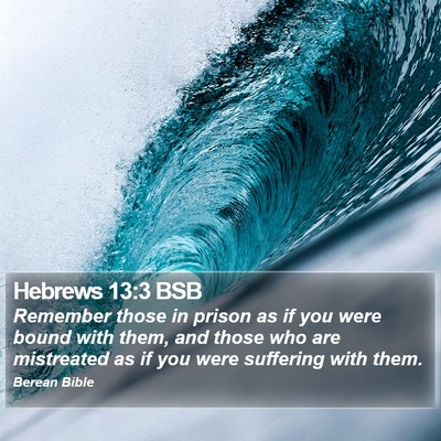 Hebrews 13:3 BSB Bible Verse Image