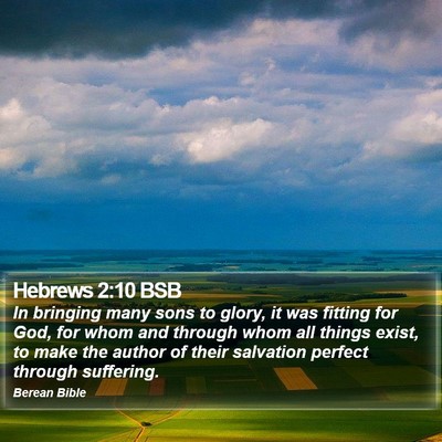 Hebrews 2:10 BSB Bible Verse Image