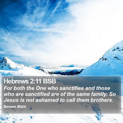 Hebrews 2:11 BSB Bible Verse Image