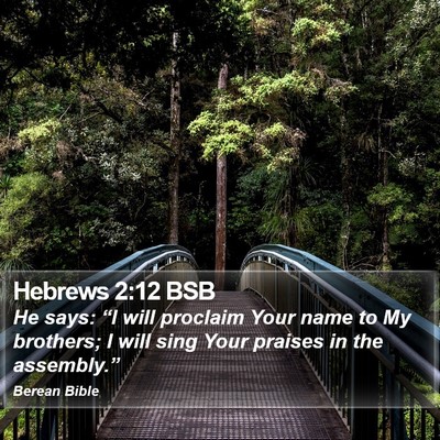 Hebrews 2:12 BSB Bible Verse Image