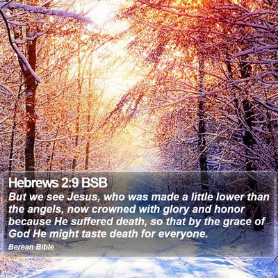 Hebrews 2:9 BSB Bible Verse Image