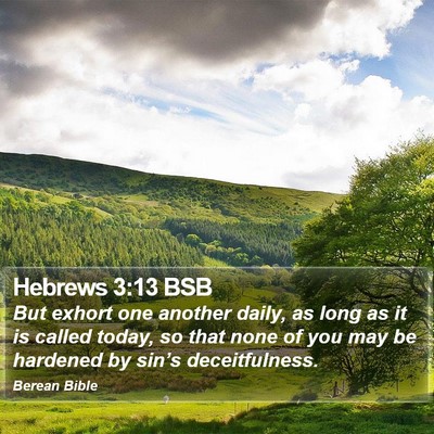 Hebrews 3:13 BSB Bible Verse Image