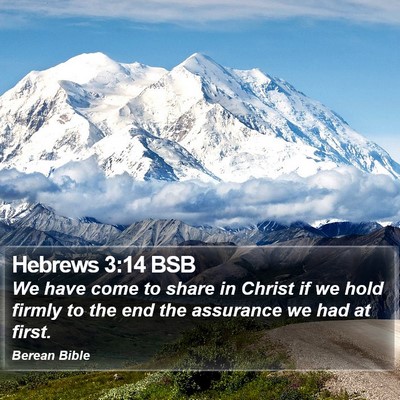 Hebrews 3:14 BSB Bible Verse Image