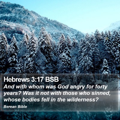 Hebrews 3:17 BSB Bible Verse Image
