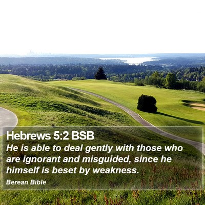 Hebrews 5:2 BSB Bible Verse Image