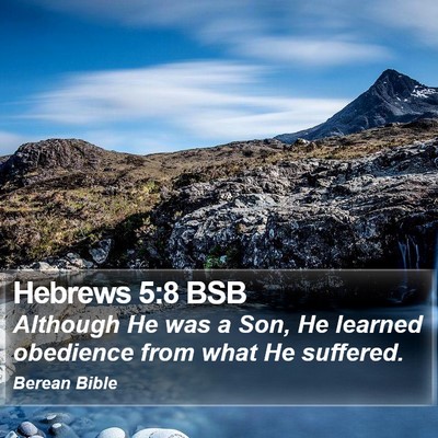Hebrews 5:8 BSB Bible Verse Image