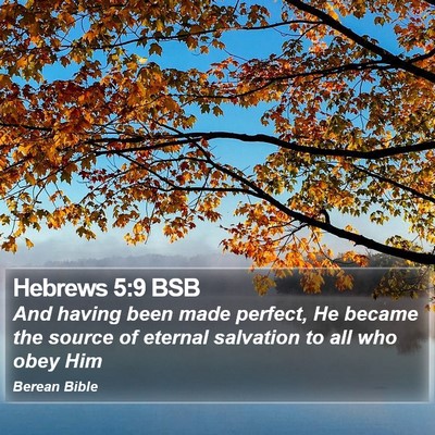 Hebrews 5:9 BSB Bible Verse Image